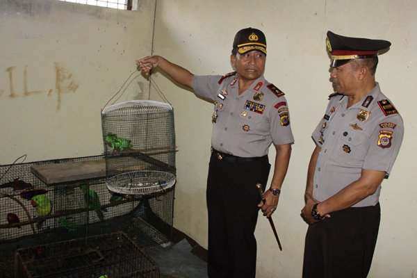 Polisi Amankan Satwa Burung Yang Dilindungi